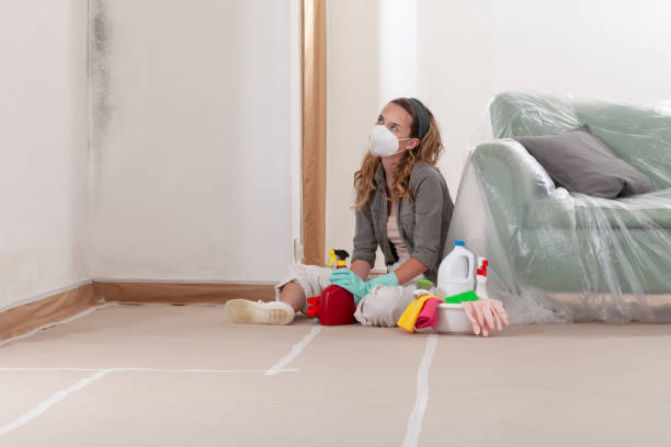 Reliable Black Mold Removal contractor in Harwood, MD by WQB Mold Removal